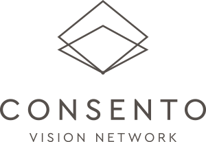 logo-vision-network-consento